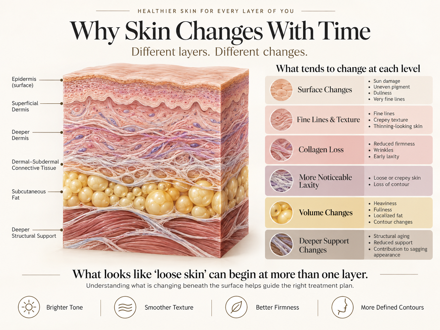 Educational diagram showing how surface skin, dermis, fat and structural support can change over time